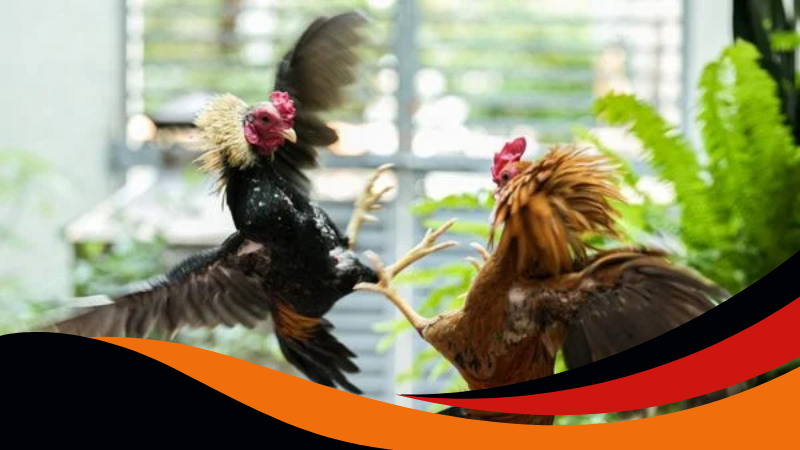 Nền tảng đưa ra điều kiện để duy trì tính công bằng Nền tảng đưa ra điều kiện để duy trì tính công bằng